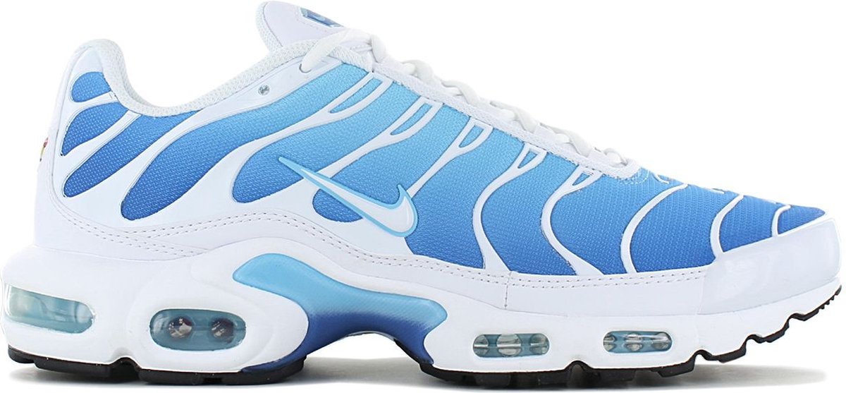 Nike Air Max Plus TN Sky Heren Sneakers Schoenen 852630-411 Blauw