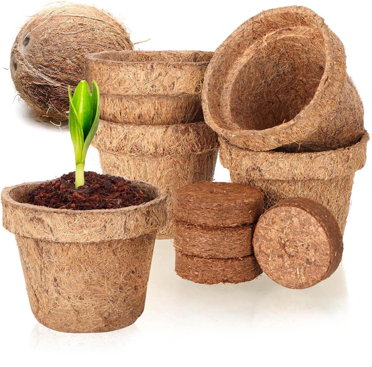 10-delige kokosnootkweekset biologisch afbreekbare kokosschijven zweltabletten potten kokosvezel plantschalen kweeksteun voor zaden Kweekbak