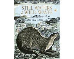 Omslag van Still Waters & Wild Waves