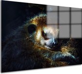 Meerkat schilderijen glas - Dier glas schilderij - Schilderijen Pels - Landelijke schilderijen - Schilderijen plexiglas - Schilderijen acrylglas 120x80 cm