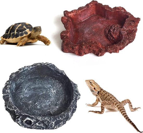 Reptiles Planet - Kit Tortue de Terre - Edition limitée - 60x40x28 cm