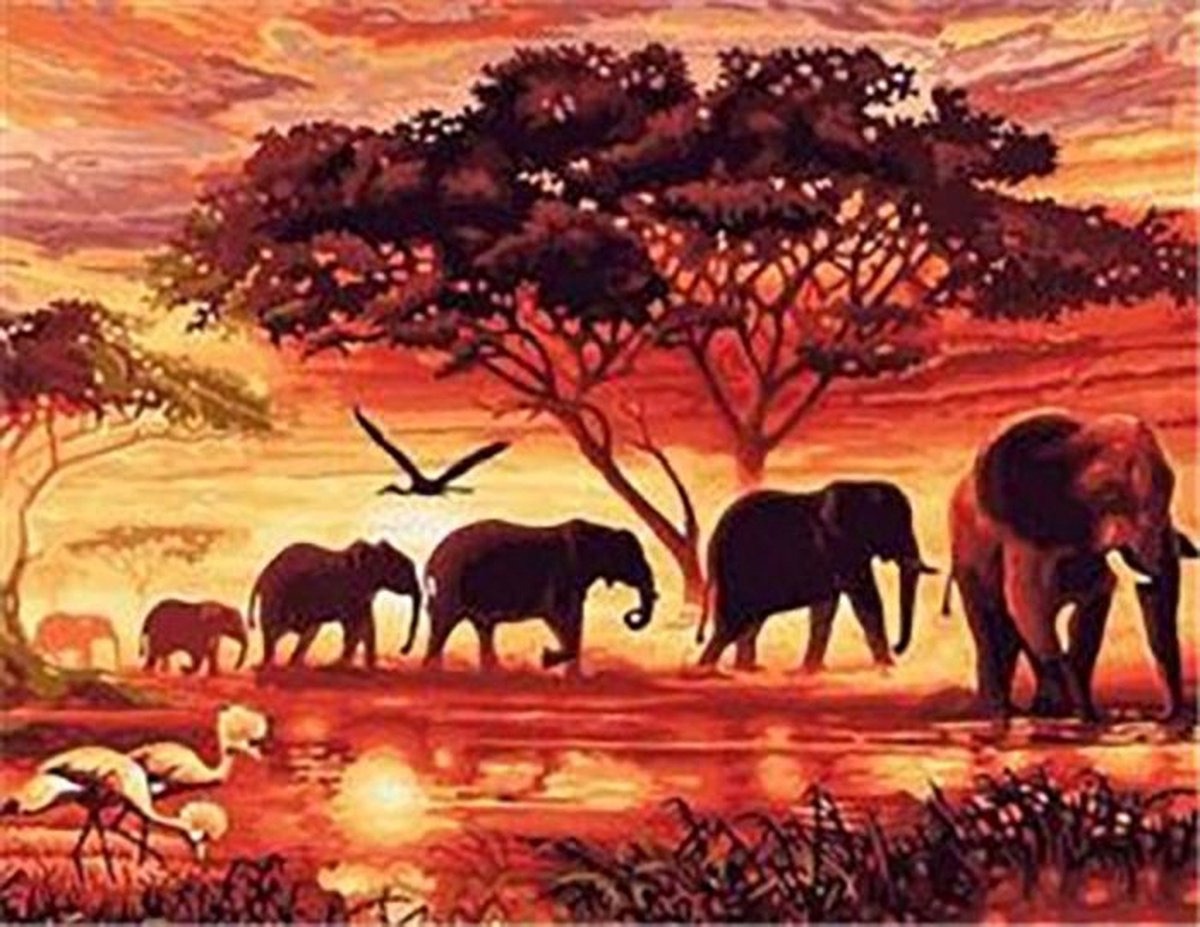 Vedes diamond painting knutselset olifanten savanne 30x40 cm schilderen.