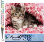 Figured'Art Schilderen op Nummer Volwassenen canvas Gecoat katje - Handwerk acrylverf Kit DIY Compleet - 40x50cm zonder frame