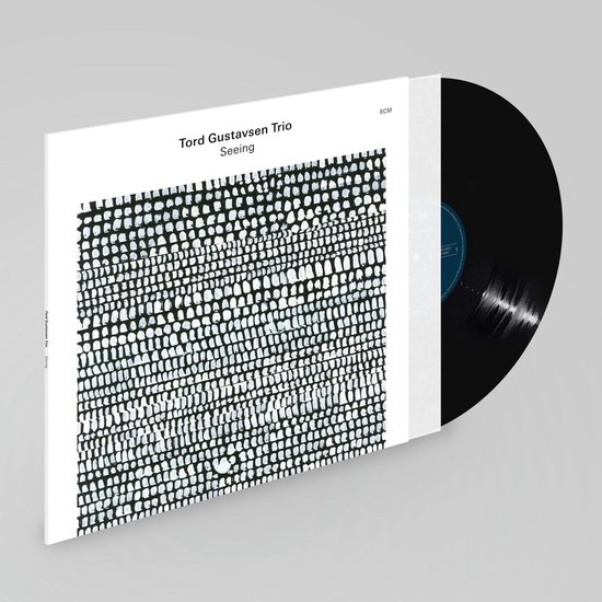 LP hoes met abstract zwart-wit patroon en de tekst "Tord Gustavsen Trio Seeing".