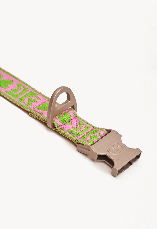 Collar Dogguo vert et rose - Collier pour chien - Petits Chiens