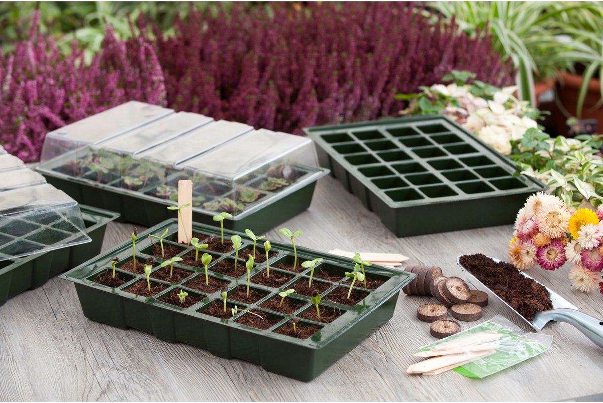Talen Tools Nature Propagator (pack of 4) - H10,5 x 35 x 23,5cm - Green