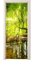 Deurposter 80x205 cm - Deursticker Bos - Landschap - Water - Bomen - Zon - Groen - Natuur - Meubelfolie zelfklevend - Deurfolie woonkamer - Interieurfolie fotobehang - Deur plakfolie - Deurstickers - Deurbehang sticker - Kamer decoratie
