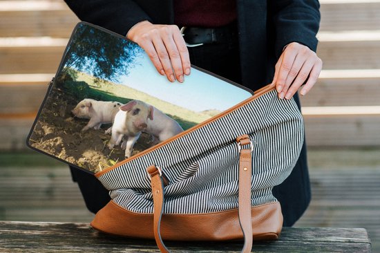 Laptophoes 13 inch - Varkens - Dieren - Landschap - Laptop sleeve - Binnenmaat 32x22,5 cm - Zwarte achterkant