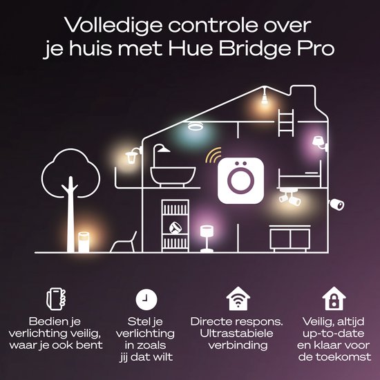 Bridge Philips Hue Pro