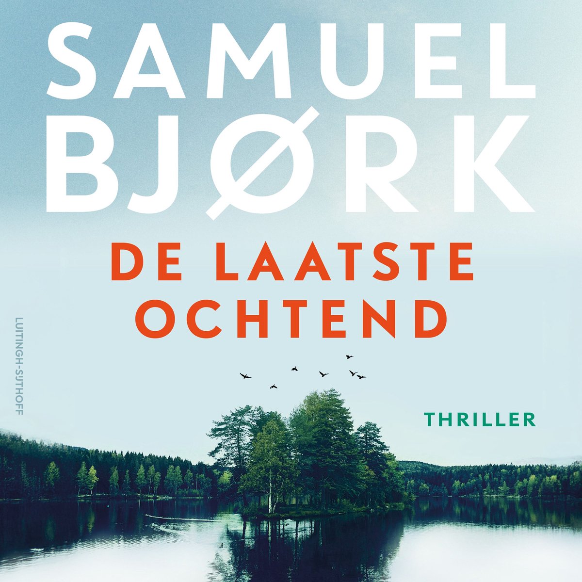 Omslag van De laatste ochtend