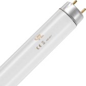 Schiefer G13 T8 TL-Buis | 30W 6500K 865 | 908mm