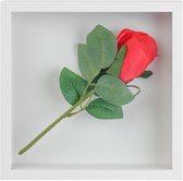Allecto Premium - Diep Vulbaar 3D Fotolijstje - 20 x 20 cm - Transparante Acrylplaat - Foto Medailles - Gedroogde Bloemen - Wanddecoratie