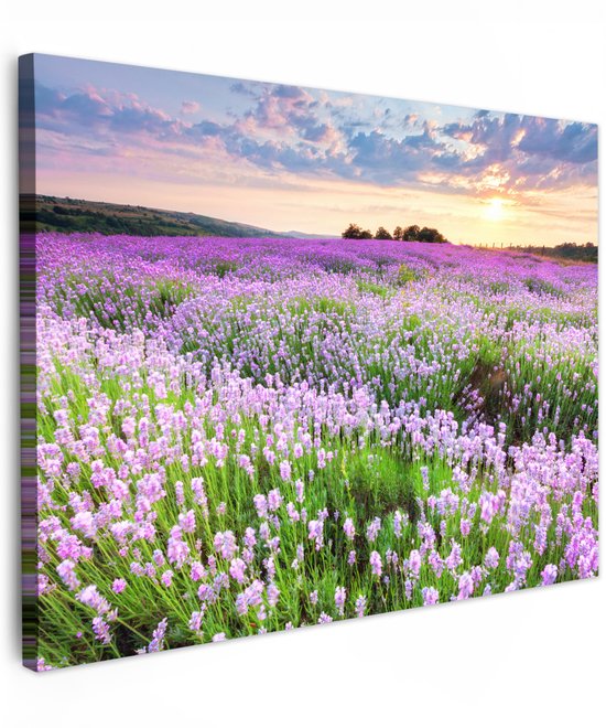 Canvas schilderij met een weids lavendelveld bij zonsondergang, met zachte roze en paarse tinten.