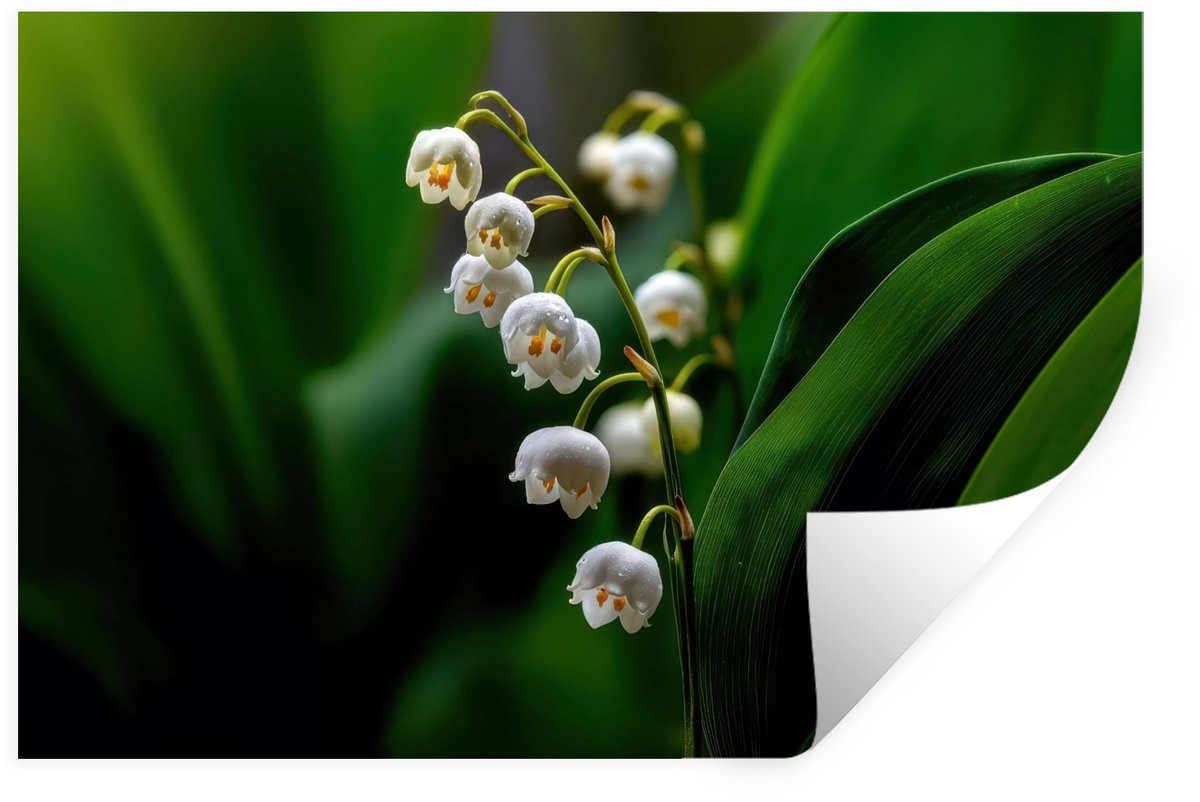 Muurstickers - Sticker Folie - Bloemen - Wit - Bladeren - Lelietjes - 120x80 cm - Plakfoli