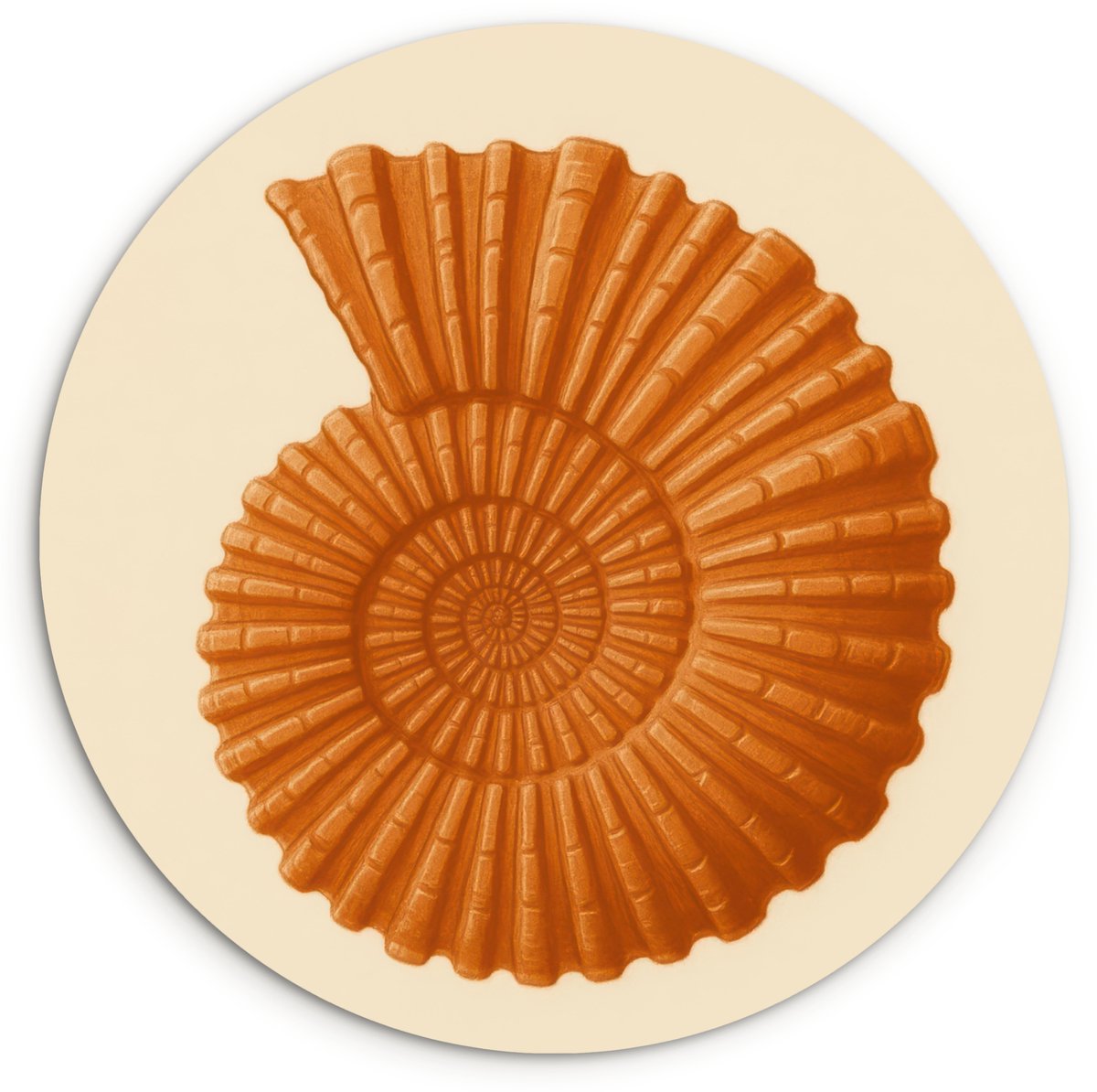 WallCircle Wandcirkel 60x60 cm - Muurcirkel Schelp - Oranje - Ribbels - Muurdecoratie woonkamer - Wanddecoratie slaapkamer - Kamer decoratie accessoires - Ronde schilderijen