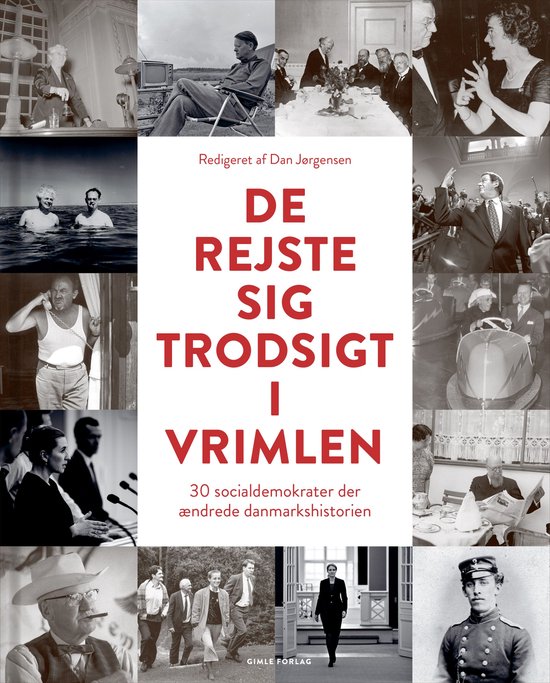 De rejste sig trodsigt i vrimlen - cover