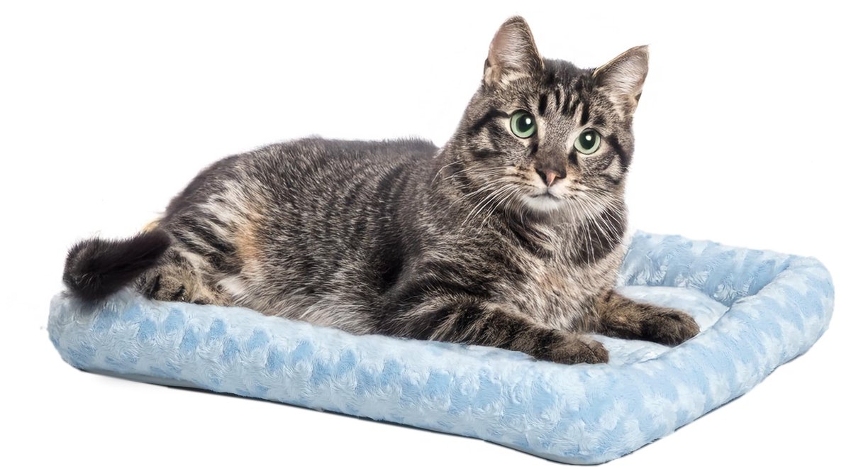MidWest Quiet Time Pet Bed Fashion Series Powder Blue 18 inch 46 cm