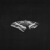 Kendrick Lamar - To Pimp A Butterfly (2 LP) (10th Anniversary Edition)