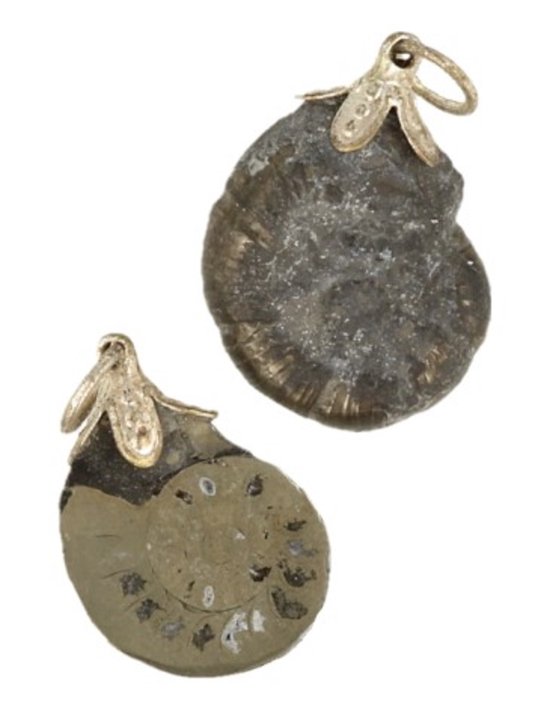 Edelsteen Hanger van Ammoniet