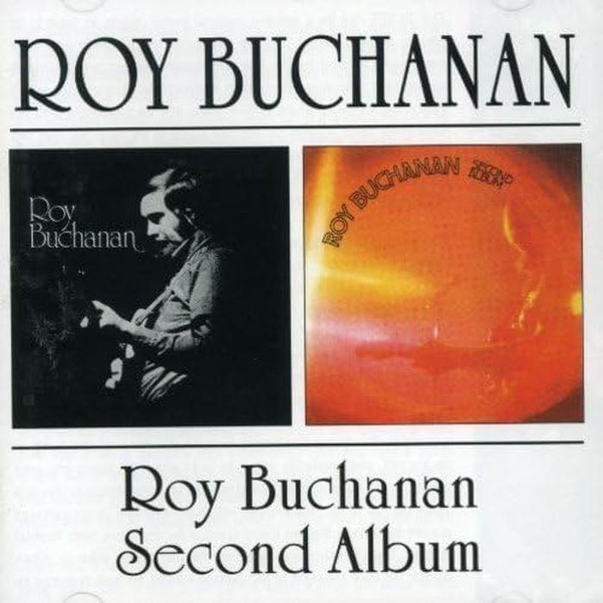 Roy Buchanan - Second Album (2002)