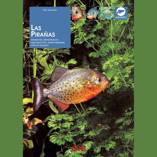 Las pirañas: Anatomía, alimentación, reproducción, enfer ... - cover