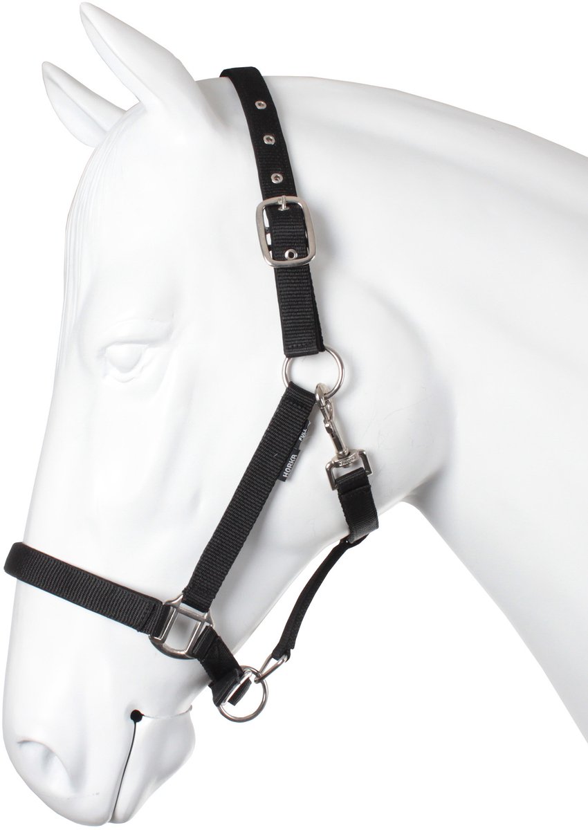 Halster Nubuck | Pony