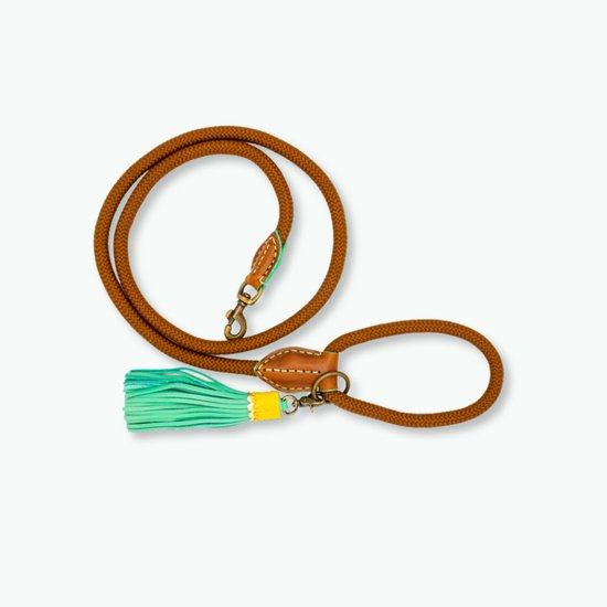 DWAM Laisse pour chien Rover Marron L 155 x 1,4 cm - Chien