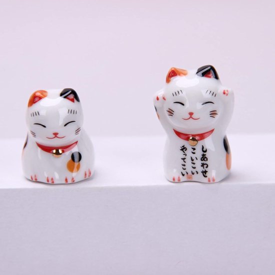Japanse Eetstokjes Cadeau-set Pioenroos | kopen bij