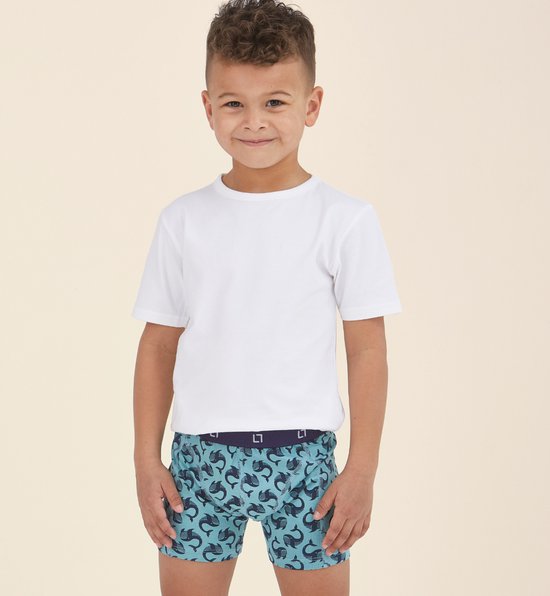 Little Label - boxershorts jongens 5 pack - groen blauw walvis - 110-116 / 6Y - extra zachte bio-katoen