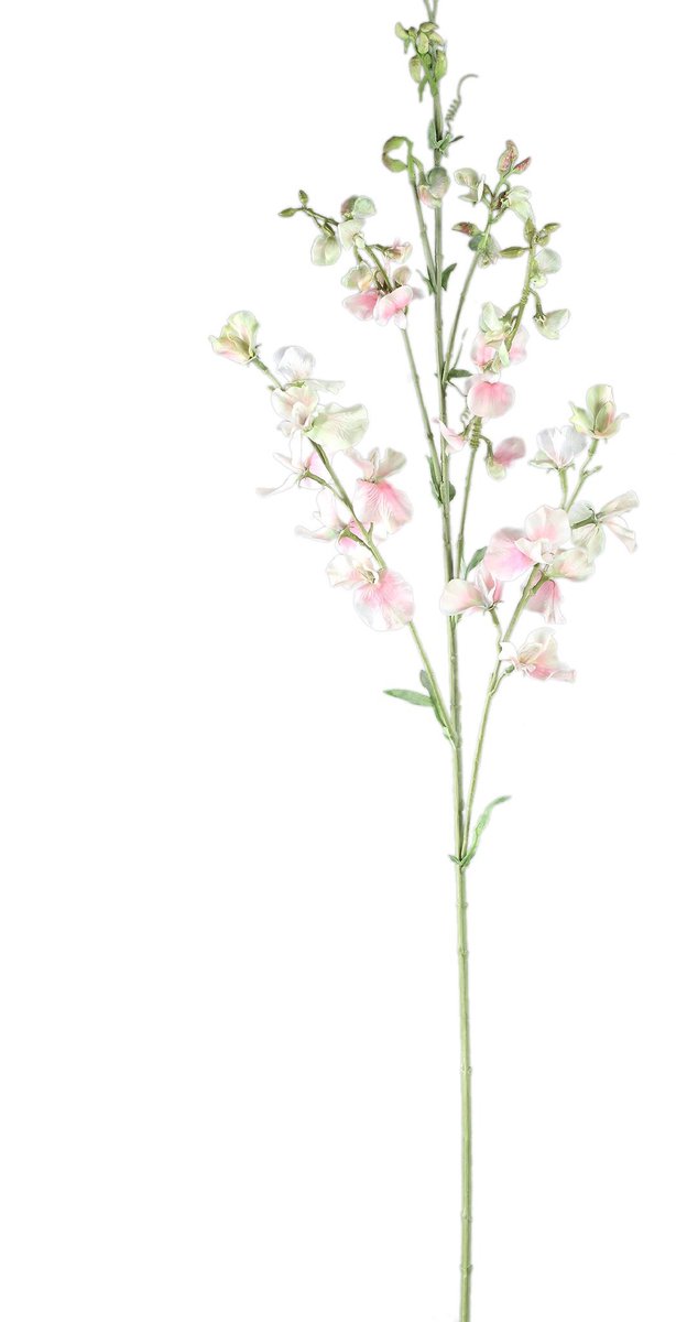 PTMD Kunstbloem Sweetpea - 65x29x122 cm - Plastic - Creme