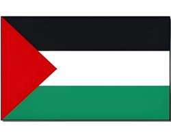Minoli Vlag Palestina - 90 x 150 cm - Palestijnse Vlag - Palestina
