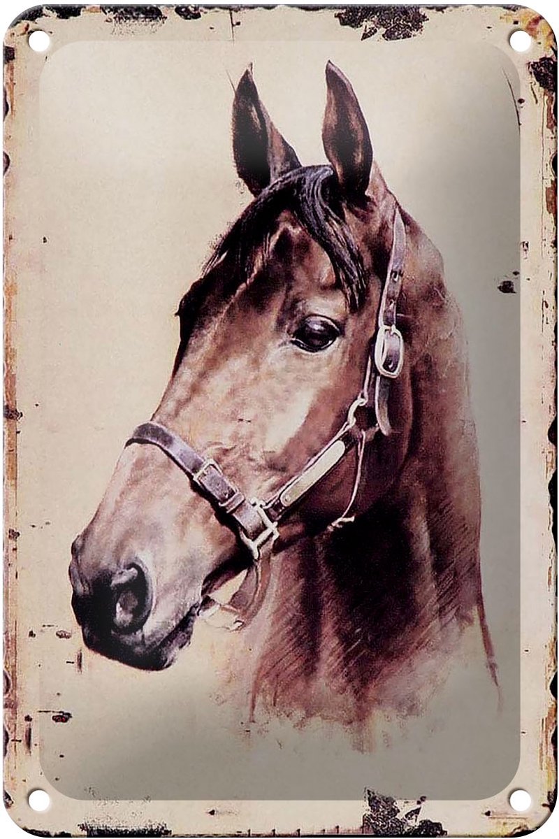 Blechschild Retro 12x18cm Portrait Pferd Kopf Schild