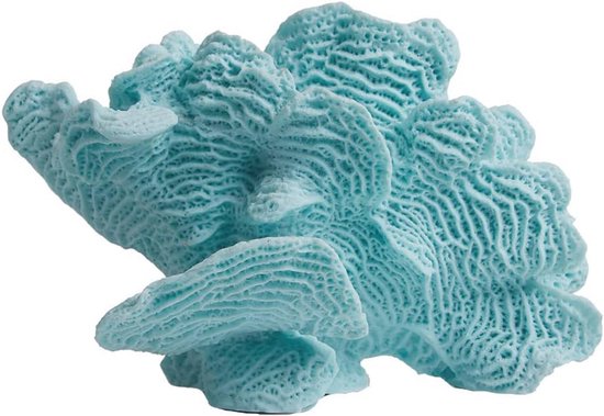 HAUCOZE Kunstmatige Koraal Standbeeld Beeldje Oceaan Sculptuur Decor Polyresin Arts Geschenken 9.1 inch HAUCOZE Kunstmatige Koraal Standbeeld Beeldje Oceaan Sculptuur Decor Polyresin Arts Geschenken 9.1 inch