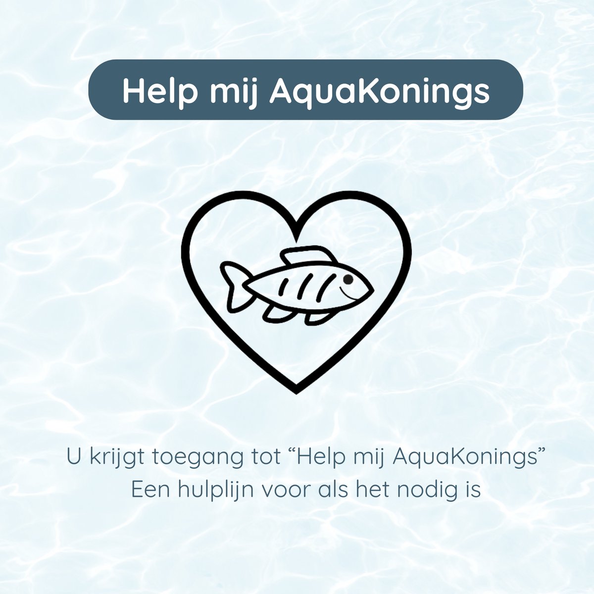 AquaKonings aquarium 60/64L thumbnail 6