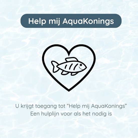 AquaKonings – Aquarium – Aquarium met afgeronde hoeken - Aquariumkit 60x30x36 64L
