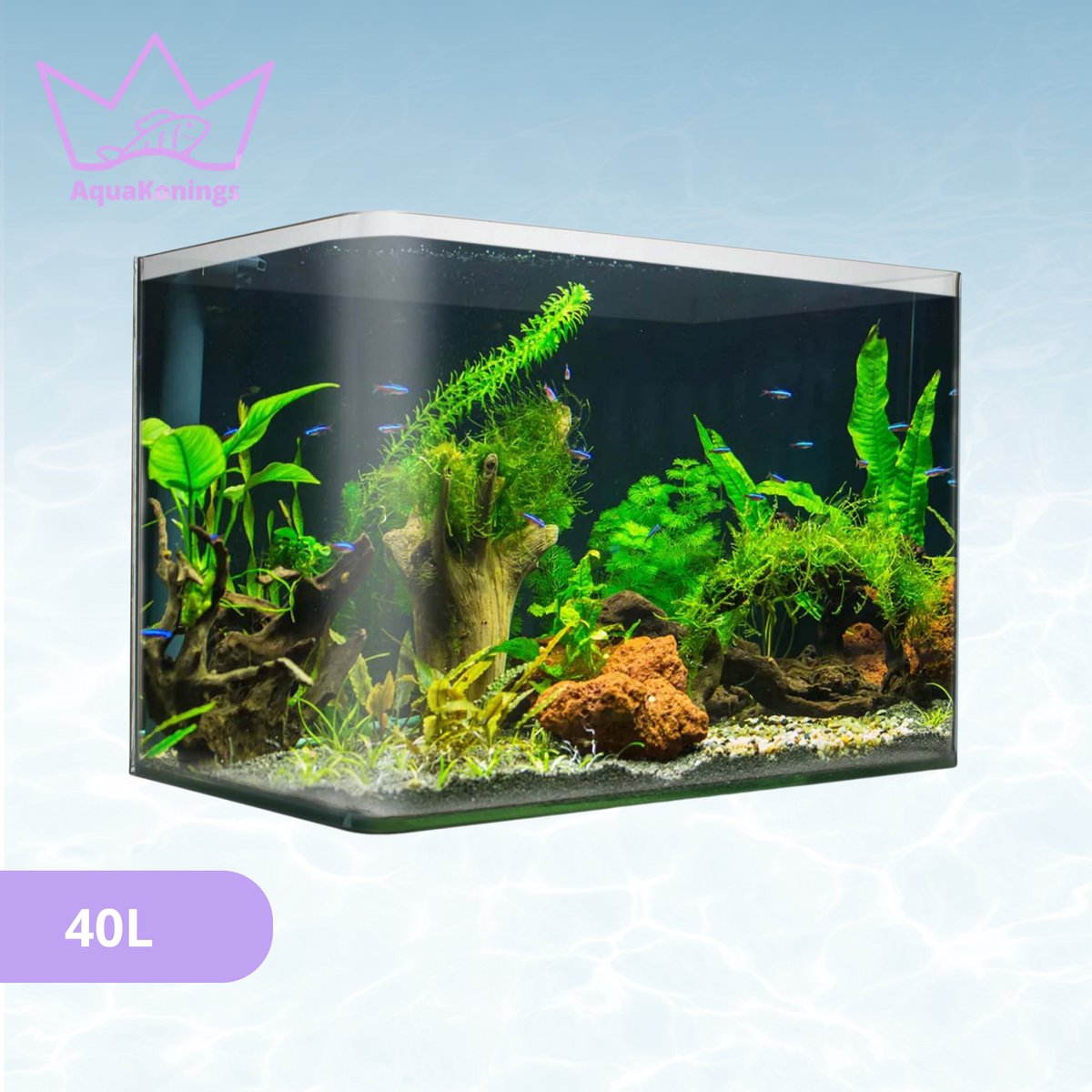 AquaKonings – Aquarium – Aquarium met afgeronde hoeken - Aquariumkit 50x27x30 40L