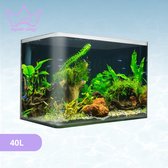 AquaKonings – Aquarium – Aquarium met afgeronde hoeken - Aquariumkit 50x27x30 40L