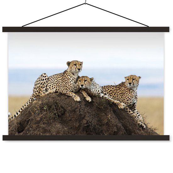 Trois guépards sur une affiche textielposter colline belvédère 90x60 cm