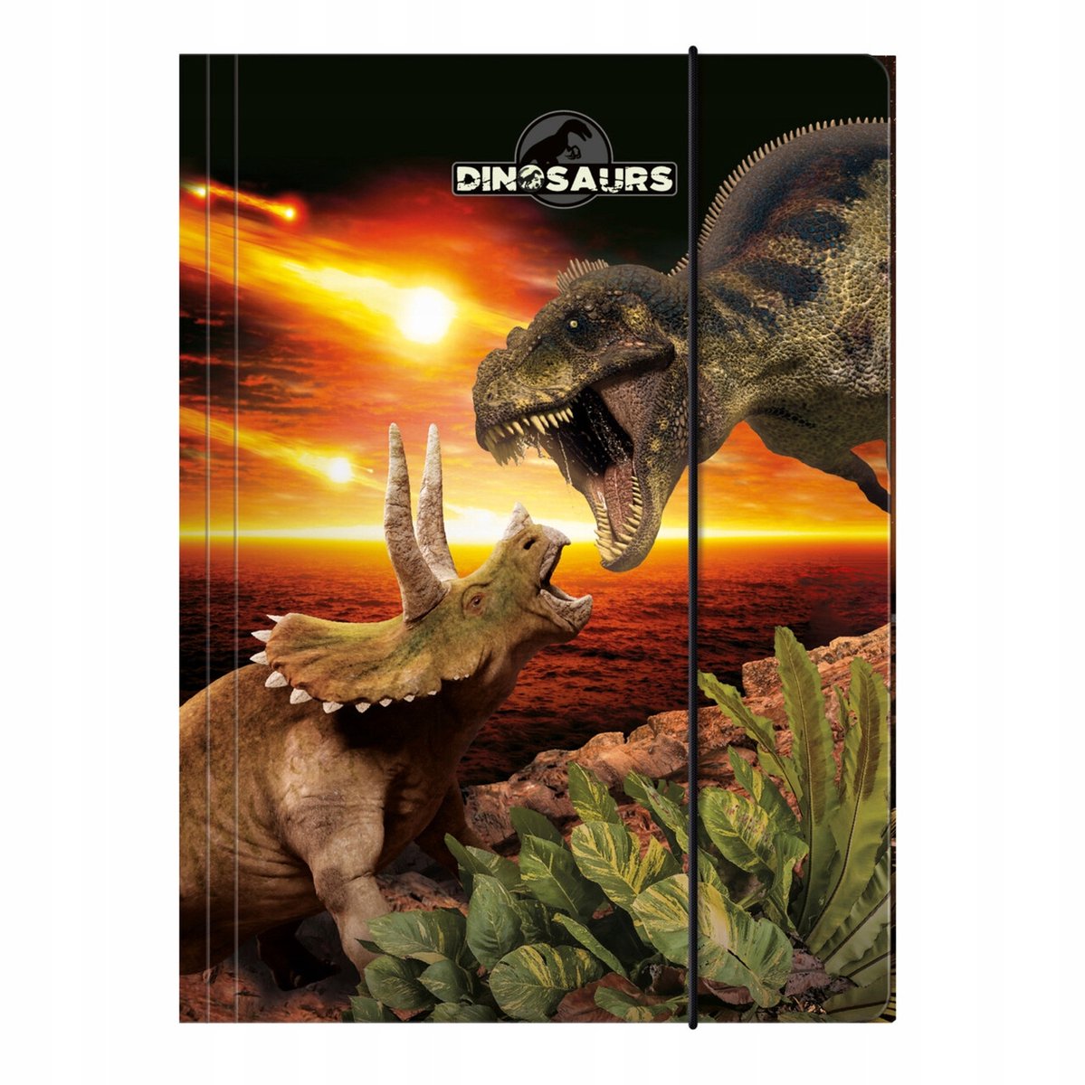 Map A4 met elastiek - Dinosaur Raptors