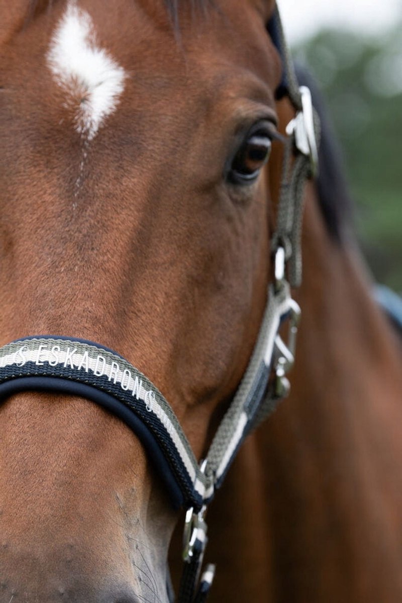 Eskadron Dubbele Pin Halster Navy-Greige-Dust Full