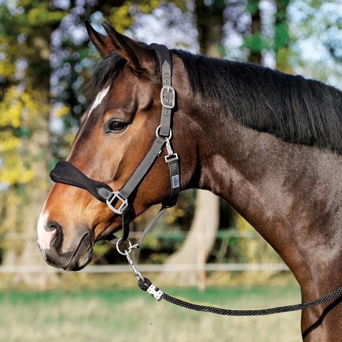 Busse Soft Air Kantara voor Pony's - Tijdelijk en Comfortabel
