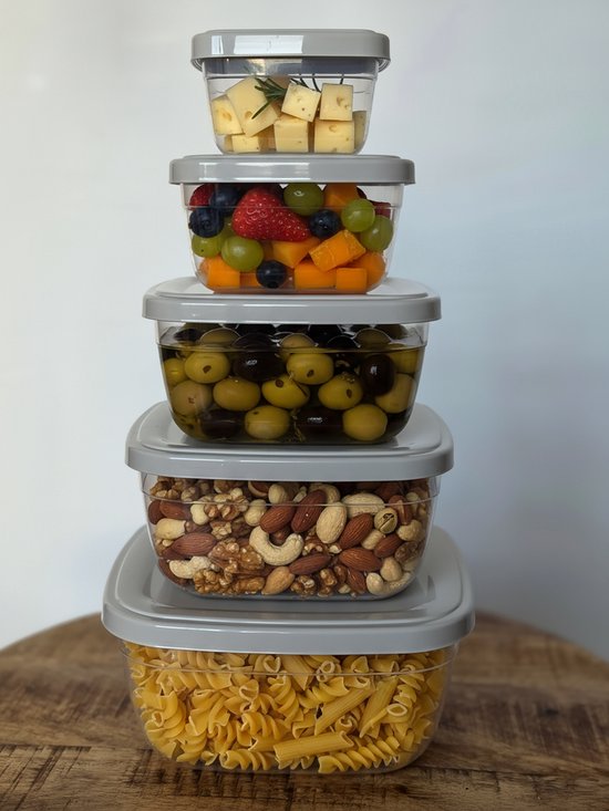Tobeyz - 5-delige Vershoudbakjes Set met Deksel – Meal Prep Bakjes - Diepvriesbakjes - Vierkant Voedselcontainer - 500ml, 900ml, 1500ml, 2400ml, 3750ml - BPA-vrij, Herbruikbaar - Grijs - QS190