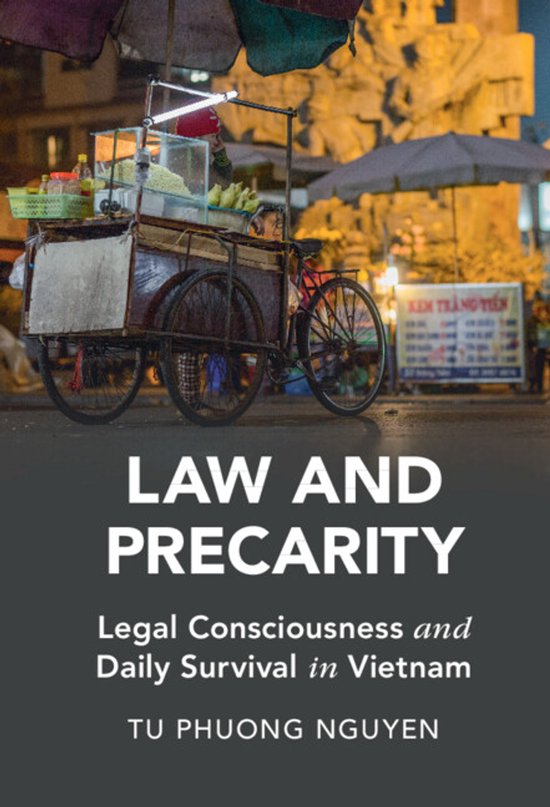 Cambridge Studies in Law and Society- Law and Precarity - cover