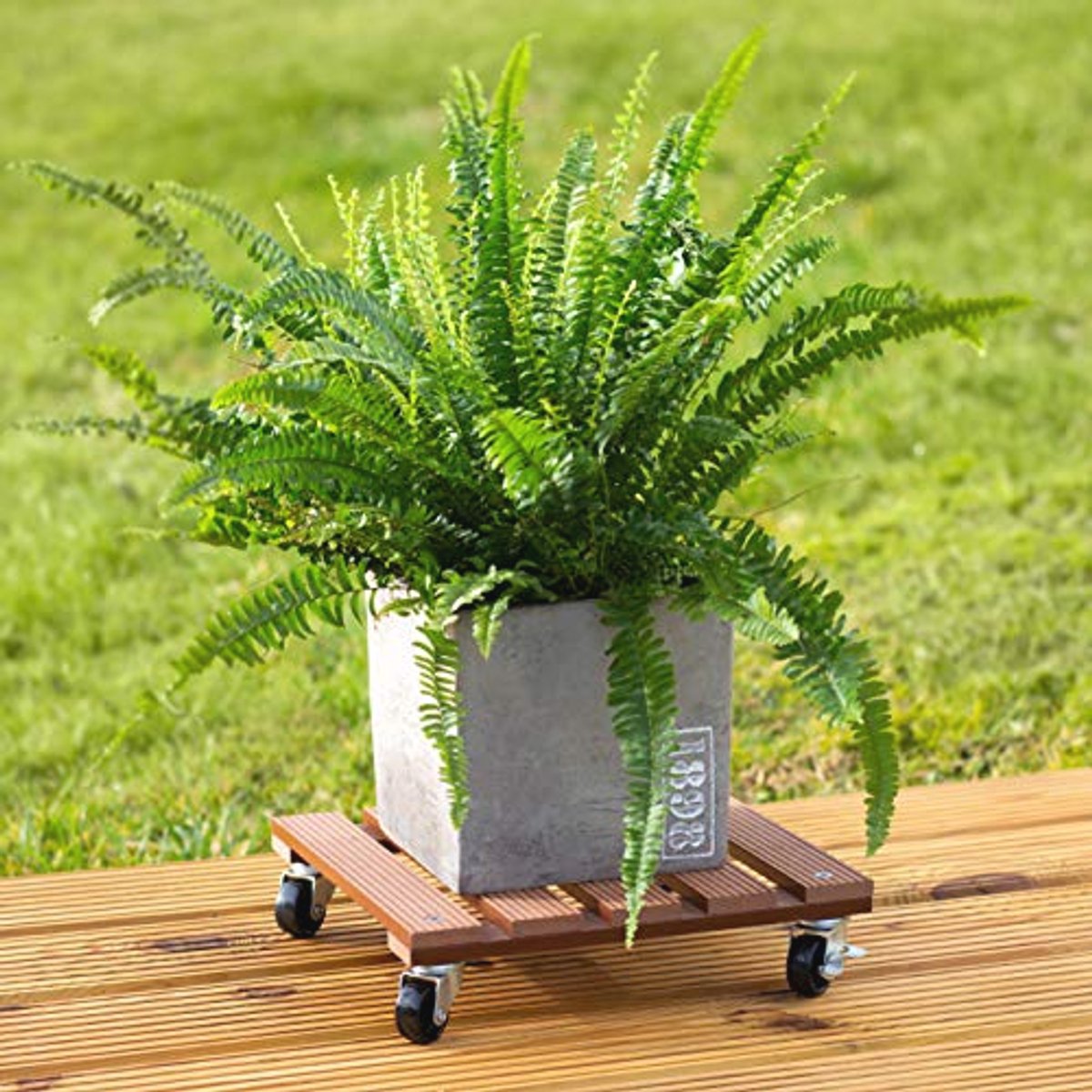 Plantenroller 300 x 300 mm - 60 kg Draagvermogen - Weerbestendige Coaster met Wielen voor Buiten en Binnen
