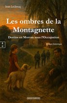 Les ombres de la Montagnette