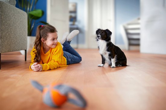 Een meisje in een gele trui en een hondje op een houten vloer in een woonkamer.