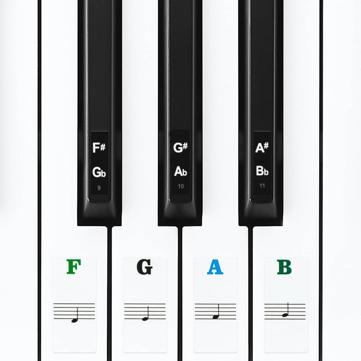 Piano Notenstickers - Toetsenbord Stickers - Muziek Leren - Kleurgecodeerd Ontwerp - 88 Toetsen - Transparant