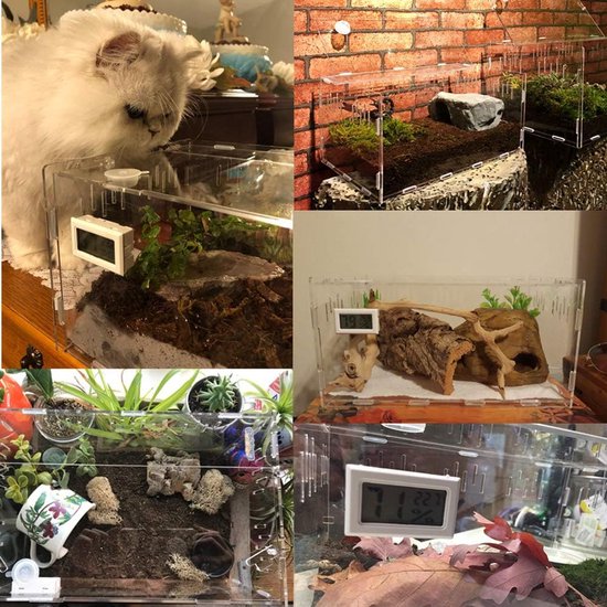 VERDANVERSE Transparante Spinnenkweekdoos Acryl Habitat Box Voor Tarantula Reptielen Lichtgewicht Compact Voor Voeding Onderhoud