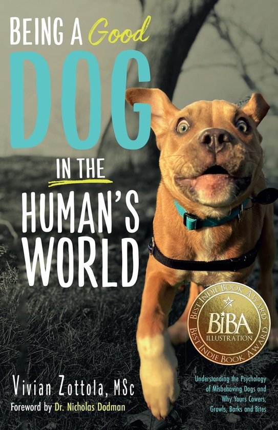 Couverture de livre : Un chiot brun espiègle avec un collier turquoise court dans un pré. Le titre "BEING A GOOD DOG IN THE HUMAN'S WORLD" est écrit dessus.