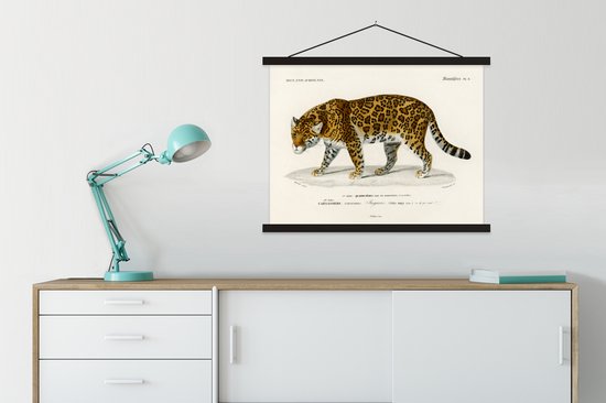 Affiche scolaire - Jaguar - Vintage - Animal - 60x45 cm - Lattes noires
